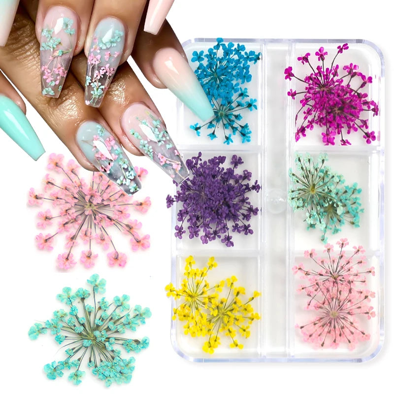 12/18Pcs/box 3D Dried Flowers Nail Art Decorations Dry Floral Bloom Stickers DIY Manicure Charms Designs For Nails Accessories  beautylum.com   