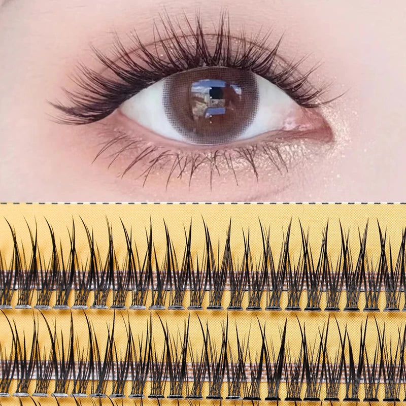 Elegant Swallowtail False Eyelashes: Luxe Eye Transformation